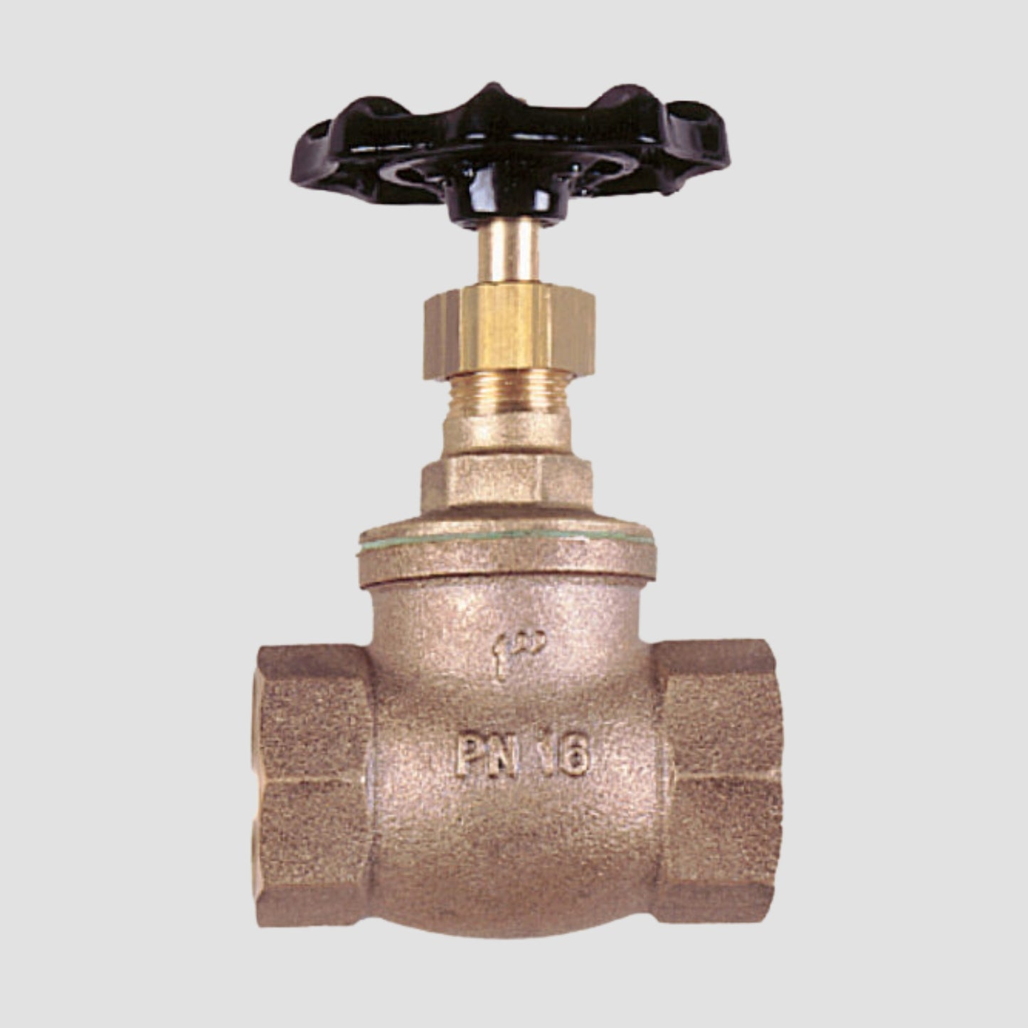 Bronze Globe Valve