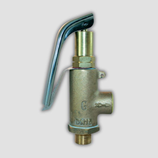 Bronze High Lift Relief Valve